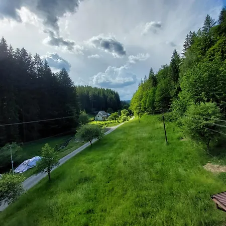 Only Meadow - Place For Kemping Kolarovice