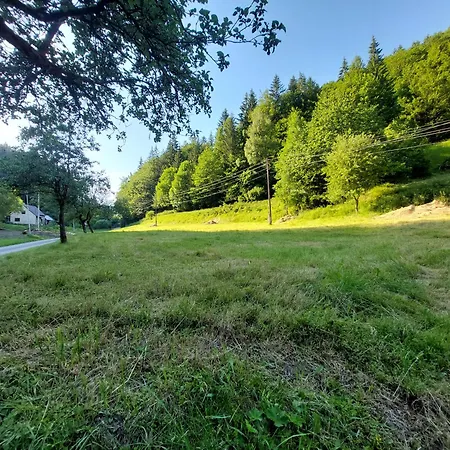 Only Meadow - Place For Kemping Kolarovice