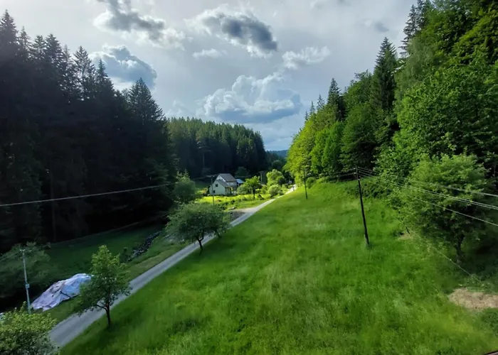 Only Meadow - Place For 营地 Kolarovice