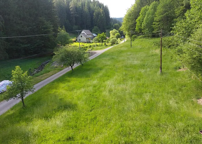 Only Meadow - Place For 营地